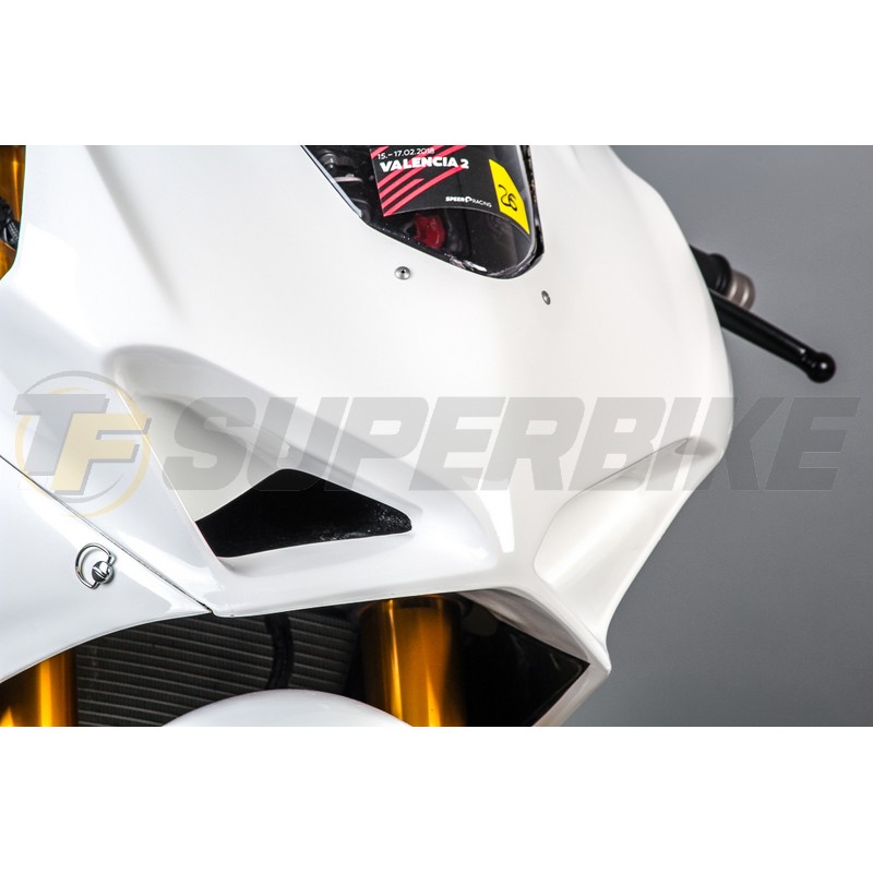 Frontal fibra de vidrio Ducati Panigale V4/V4S 2018-2019