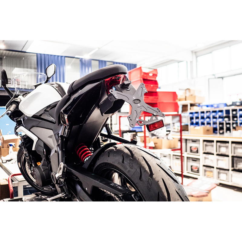 Porta matrícula Triumph Daytona 660 2024-