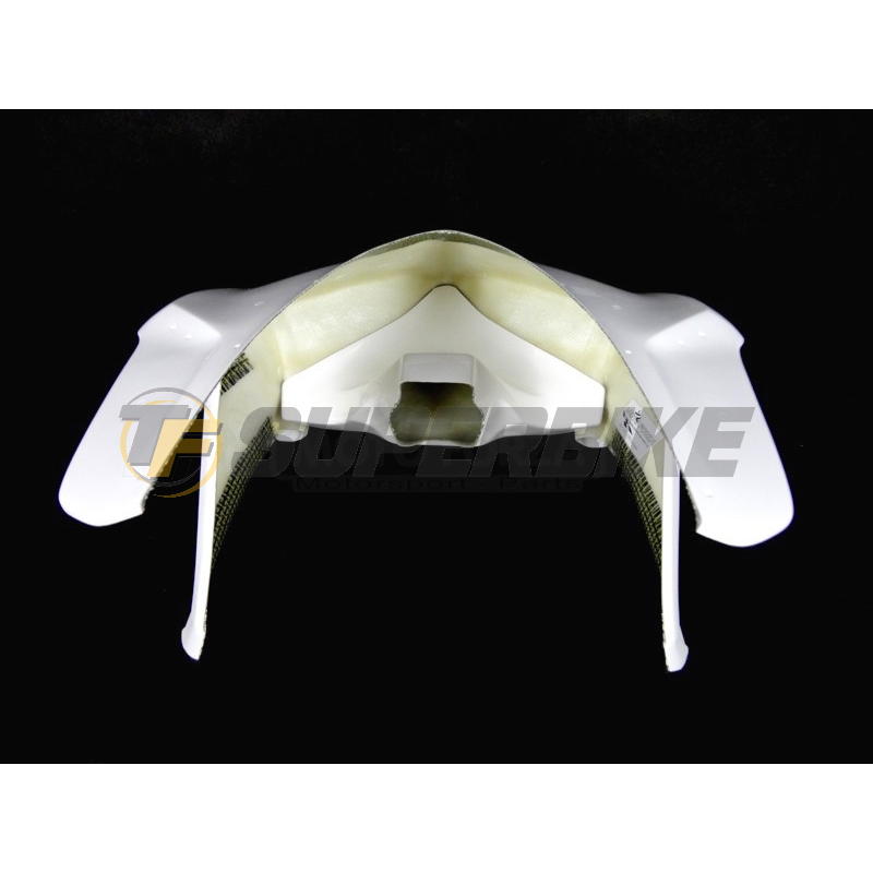 Ram air fibra de vidrio racing Ducati Panigale 959 / 1299