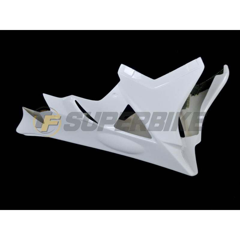 Carenado de fibra BMW S1000RR 2009-2011 colín asiento original