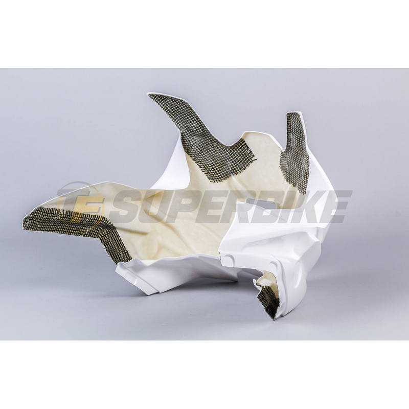 Frontal fibra de vidrio BMW S1000RR 2019-2025